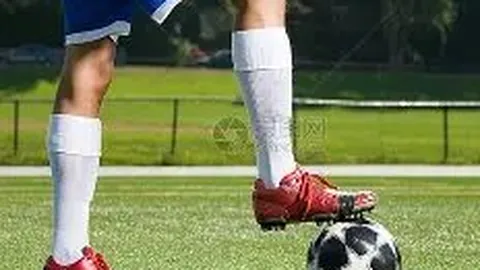 宝威体育 产品 142053 k0d