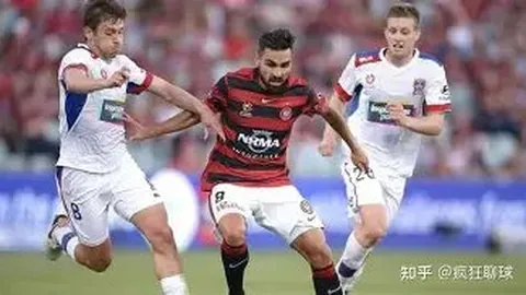 宝威体育 资讯 142100 zfh