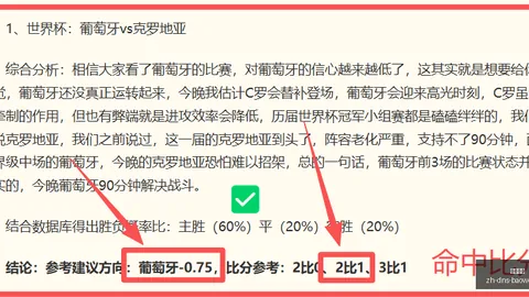 尤文药厂签约阿拉伊贝戈维奇：原则协议已敲定，明日启程加盟